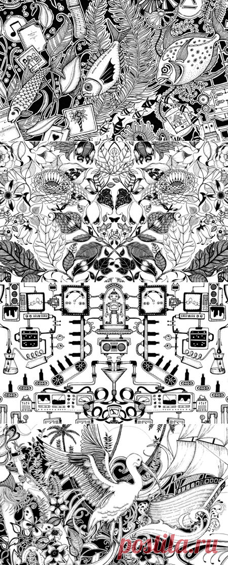 Johanna Basford | Work