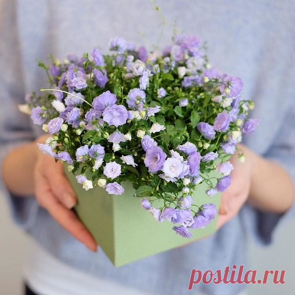 КАКОЙ СЕГОДНЯ ПРАЗДНИК? 25 Марта 2019 г. – Понедельник • Праздник баламутов • Закликание Весны • Международный день вафель (International Waffle Day) • День приручения воздушных шариков • День работника культуры12 лет • День рождения почтовой открытки • Международный день солидарности с сотрудниками, содержащимися под стражей и пропавшими без вести • День чтений произведений Джона Толкина (Tolkien Reading Day) • Католическое Благовещение Пресвятой Девы Марии • Международный день памяти жертв…