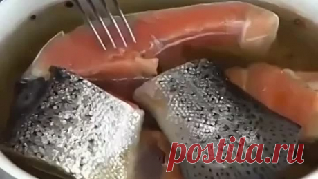 Рыба малосольная