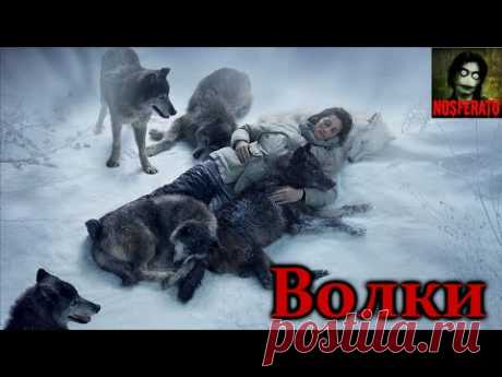 Волки (рассказ)