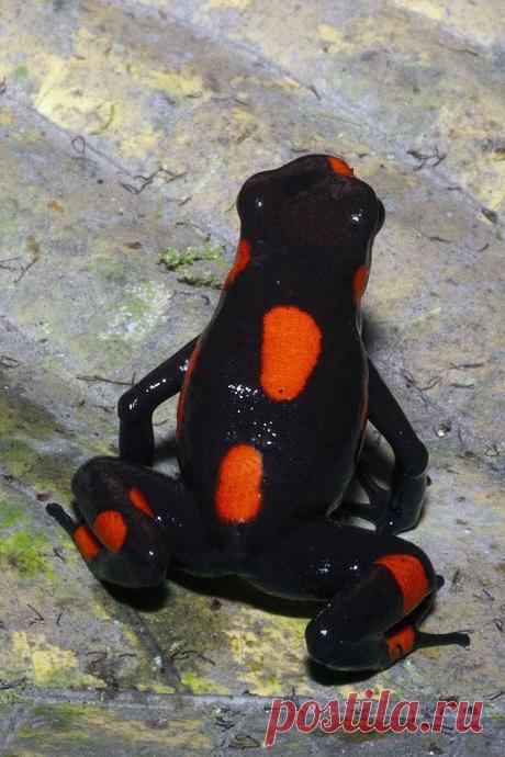 Fantástico Natureza,linda!!!