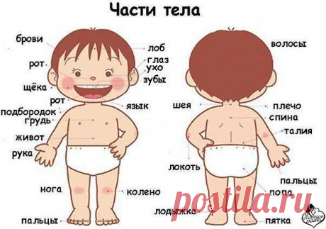 Интересные новости