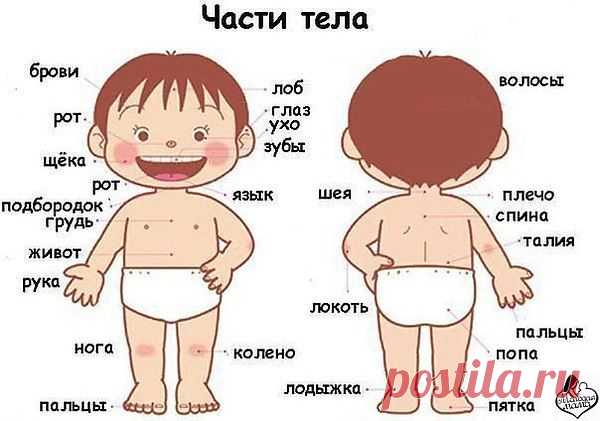 Интересные новости