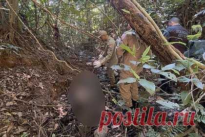 Пропавшего при загадочных обстоятельствах в Бразилии россиянина нашли бездыханным