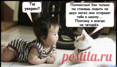 O)))