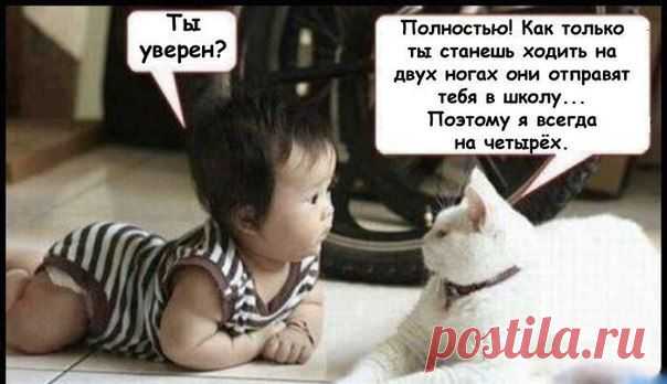 O)))