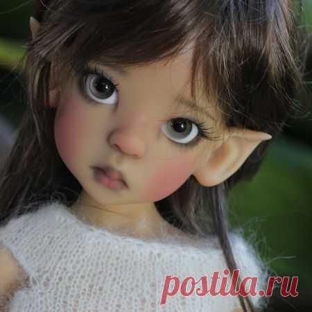 Найдено на сайте bjdcollectasy.com.