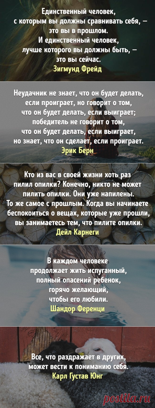 Весь опыт психологов мира в 21 цитате
