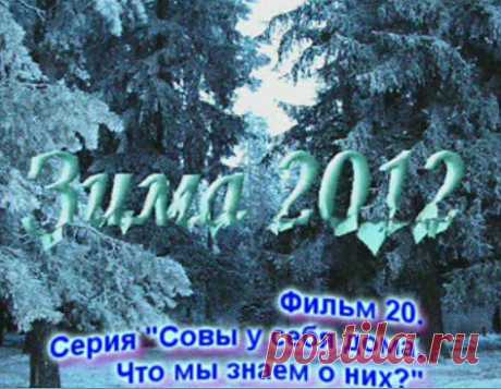 20 фильм о зимних путешествиях за совами