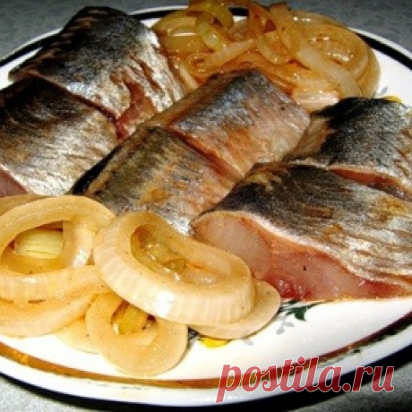 Как засолить сельдь. Вкуснейший и быстрый способ