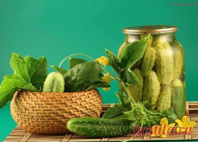 15 рецептов консервирования огурцов на зиму