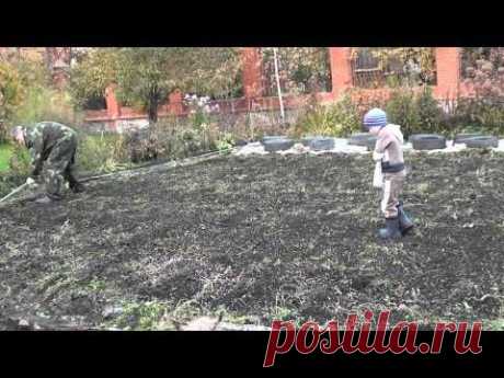 Часть №4 &quot;Восстановление плодородия почвы с осени&quot;.