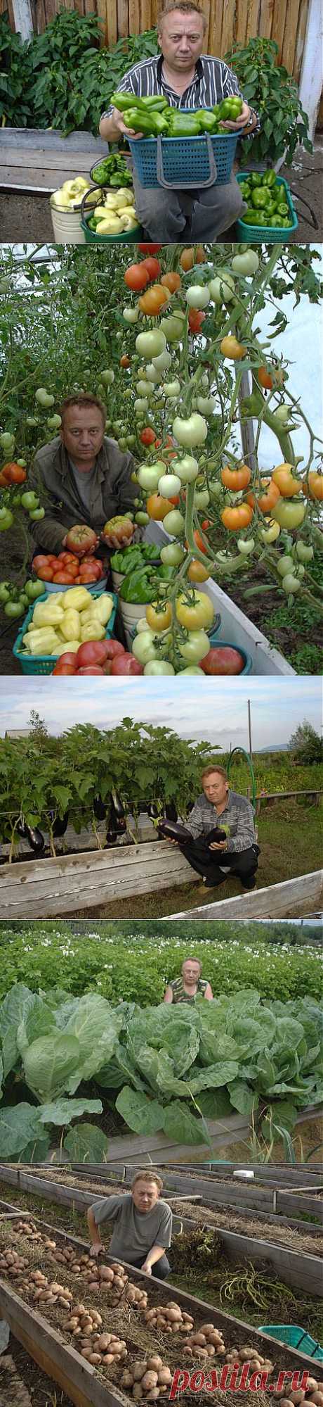 Удивительный огород Игоря Лядова.