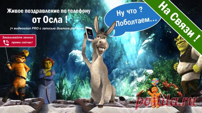 ПОЗДРАВЛЕНИЯ ОТ ОСЛА - Живой диалог по телефону!