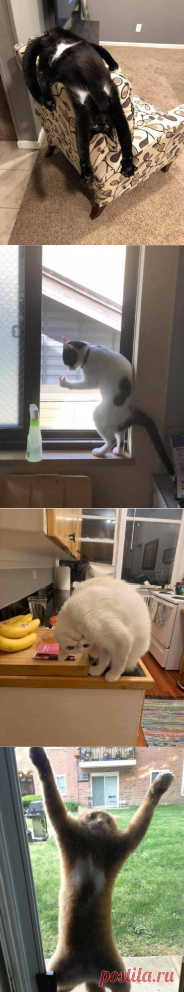 Необъяснимые странности