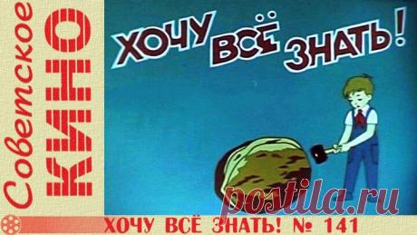 к/ж «Хочу все знать № 141» (1981 год)