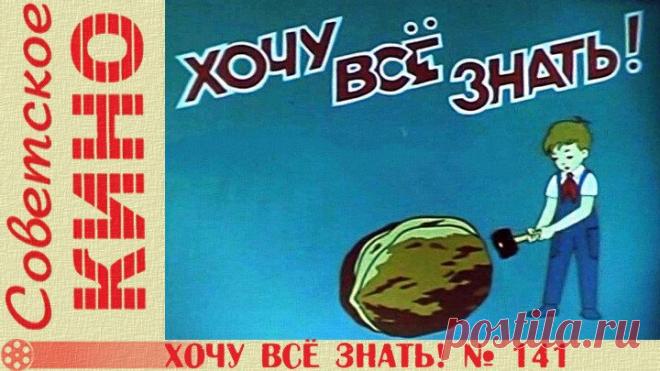 к/ж «Хочу все знать № 141» (1981 год)