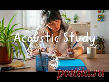 Acoustic Study 🎓 - A Chill Playlist for Homework, Assignments and Exam Prep