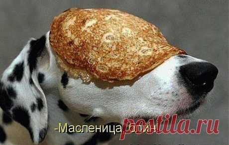 Мой Мир@Mail.Ru