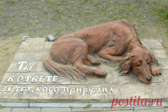 OK.RU