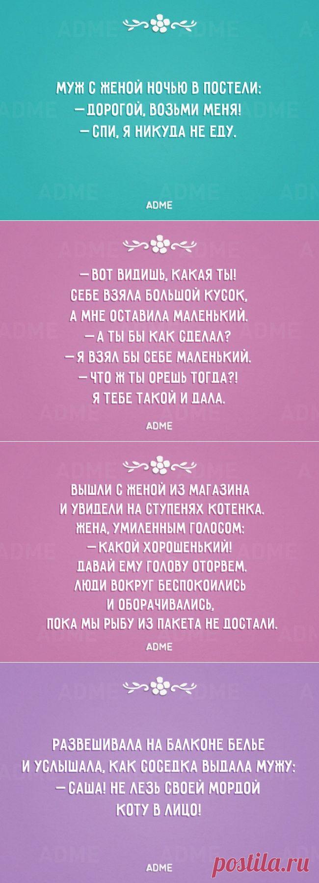 Моя семья. Счастлив тот, кто счастлив у себя дома!