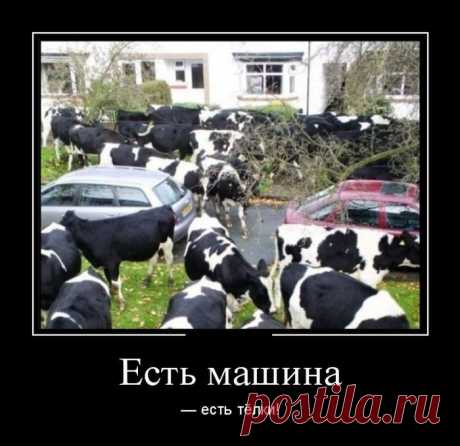 улыбнитесь!
