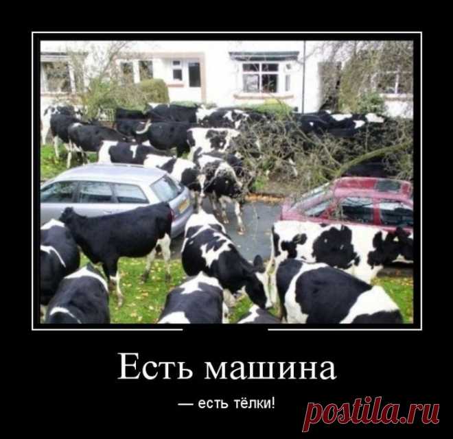 улыбнитесь!
