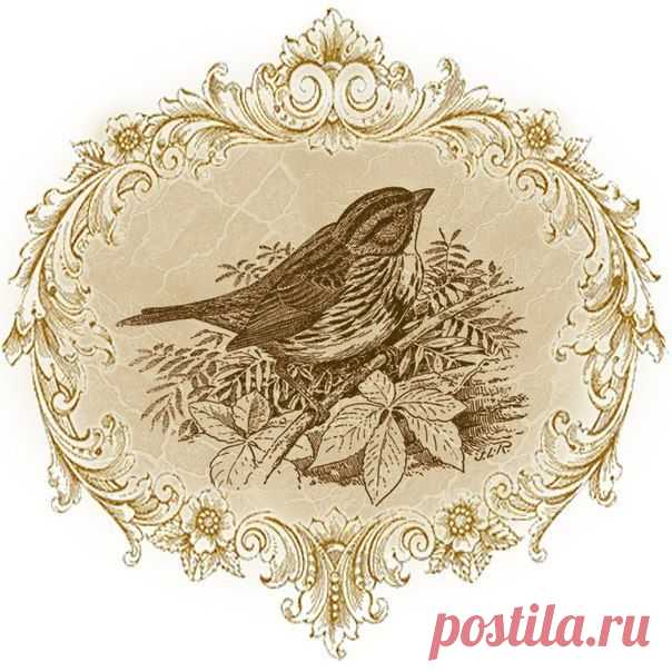 Винтажные птички.