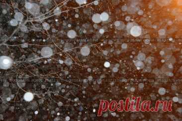 Heavy snowfall, night winter snow, abstract nature pattern background Стоковое фото, фотограф Ilaronsia / Фотобанк Лори