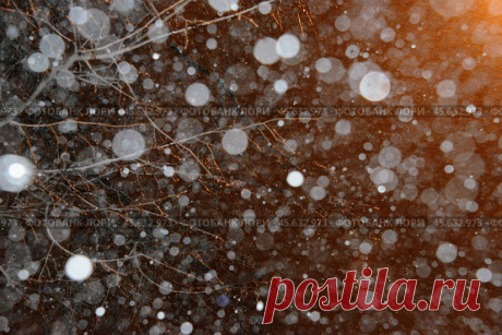 Heavy snowfall, night winter snow, abstract nature pattern background Стоковое фото, фотограф Ilaronsia / Фотобанк Лори