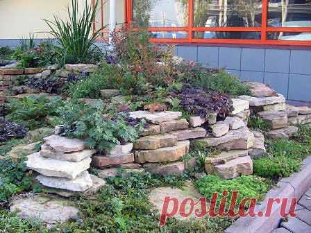 http://dom-ozhag.mirtesen.ru/blog/43248167503