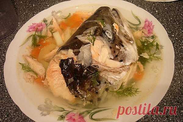 Рыбный суп из головы и хвоста: лучшие рецепты, калорийность