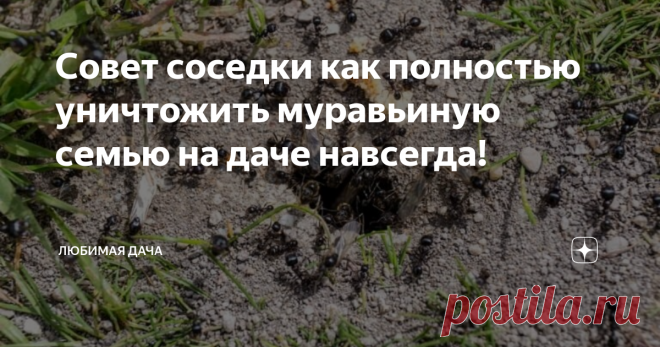 Совет соседки как полностью уничтожить муравьиную семью на даче навсегда! В этом году посоветовали мне самый лучший способ борьбы с вездесущими муравьями. Теперь только этим вариантом и буду пользоваться, так как результат, 100% гибель муравьиной семьи за пару часов. И почти не прикладывая ни каких сил, а само средство стоит сущие копейки.
Если в саду у меня на деревьях стоят ловчие пояса и нашествие муравьев и их «живности» в виде тли я в этом году не видела. Так мурав