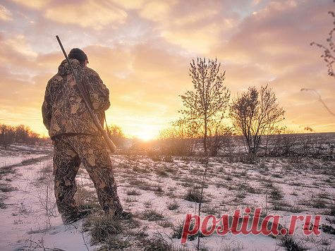 Добыть длинноухого хитреца Чтобы успешно охотиться на зайца-беляка, да еще и без собаки, необходимо знать характерные черты его поведения в бесснежный период — осенью, и после выпадения снега — зимой. Для зайцев обычны резкие перепады численности с периодичностью пять — шесть лет.