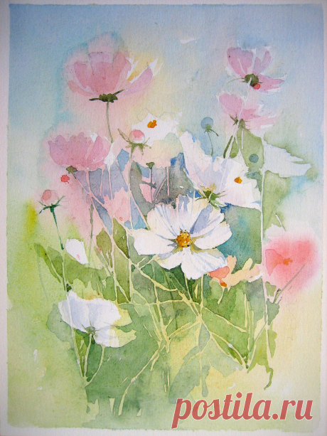 001 | Aquarell &quot;Cosmea&quot;,