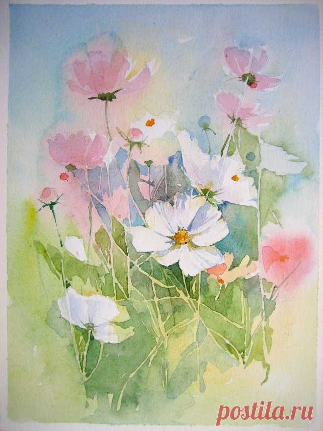 001 | Aquarell "Cosmea",