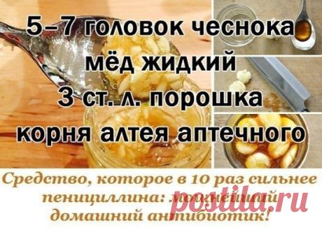 Средство, которое в 10 раз сильнее пенициллина: мощнейший домашний антибиотик! 
Мы представляем рецепт лекарства, которое в обязательном порядке должно быть в каждом доме. Чесночный сироп от кашля — проверенное средство по старинному рецепту. В детстве при первом же моем покашливании бабушка сразу готовила баночку такого лекарства, не давая болезни ни единого шанса. 
Лучший сироп от кашля 
ИНГРЕДИЕНТЫ 
5–7 головок чеснока 
мёд жидкий 
3 ст. л. порошка корня алтея аптечного 
ПРИГОТОВЛЕНИЕ 
Че