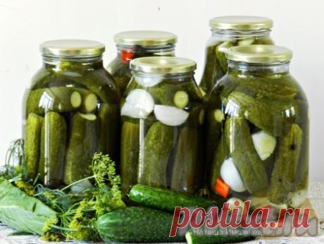 Огурцы, маринованные с луком и чесноком - 10 пошаговых фото в рецепте