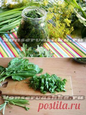 Заготовка для зеленого борща на зиму, рецепт