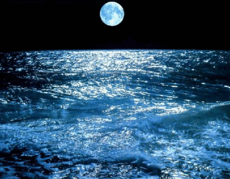 0_6af28_ce54e679_L.gif (500×389)