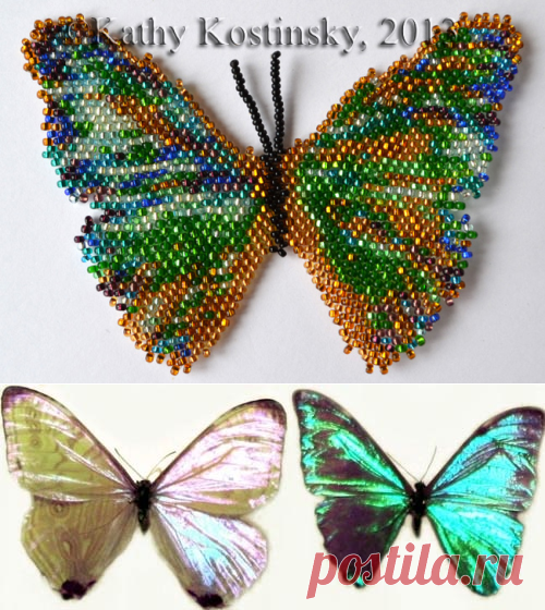 Морфо Аврора. Коллекция 63 бабочки мира