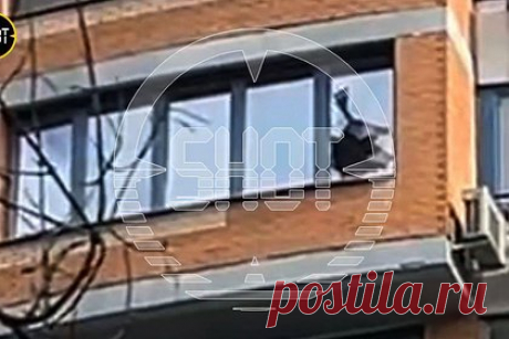 Стала известна реакция живущих в высотке москвичек на залетевший в окно дрон. Три девушки из квартиры в доме 92 корпус 1 на Ленинском проспекте не проснулись, когда в их окно влетел дрон. О реакции москвичек стало известно из рассказа другого местного жителя. Мужчина узнал о случившемся одним из первых, когда ему позвонили из охраны и сообщили, что на его автомобиль что-то упало.