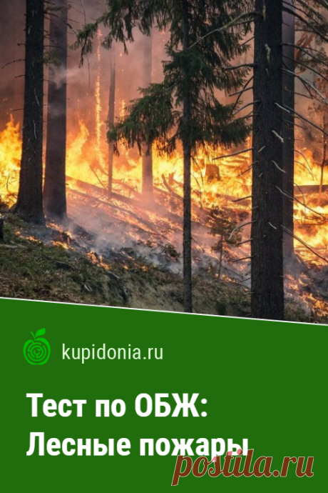 Тест по ОБЖ: Лесные пожары. Тест по ОБЖ о лесных пожарах (школьная программа). Проверь свои знания!