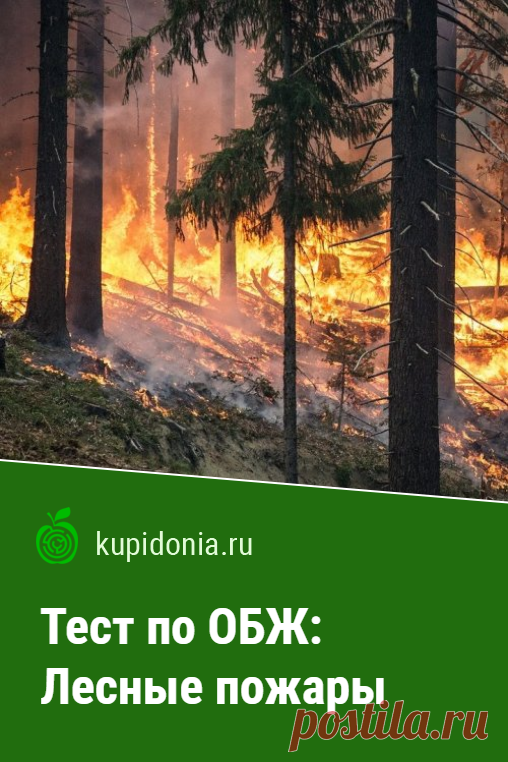 Тест по ОБЖ: Лесные пожары. Тест по ОБЖ о лесных пожарах (школьная программа). Проверь свои знания!