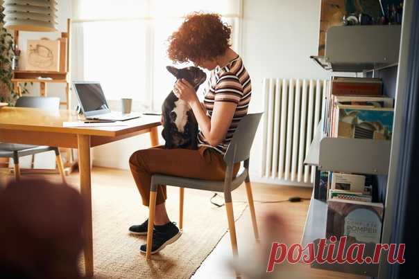 Друг, но не ребенок Некоторые хозяева собак общаются с ними как с маленькими детьми: их речь изобилует уменьшительными формами, ласковыми именами… Эмануэла Прато-Превиде, психолог Миланского института психологии (Италия), предполагает, что в основе союза человека и собаки лежит перенесение на животных родительских чувств и форм поведения. Мы заводим собаку, бессознательно рассчитывая на эмоции и чувства, которые недодаем (и недополучаем) в жизни. Но такая позиция хозяина вредит четвероногому…