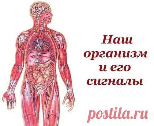 (95) Одноклассники