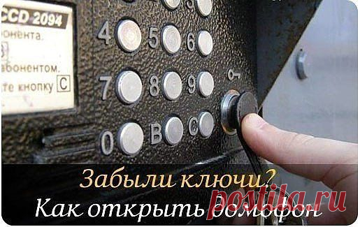 Дневник мама_Лизы_и_Димы