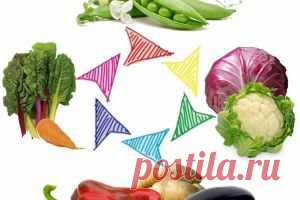 СЕВООБОРОТ НА ОВОЩНЫХ ГРЯДКАХ