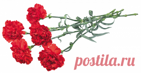 пиратские штучки на прозрачном фоне в пнг: 9 тыс изображений найдено в Яндекс.Картинках