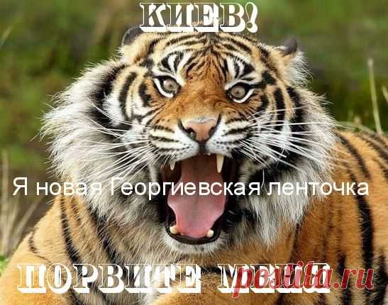 Интересные новости